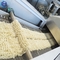 Automatische sofortige Reis-Nudel, die Maschine 100 - 500kg/H herstellt